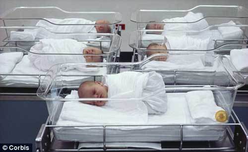 Newborns